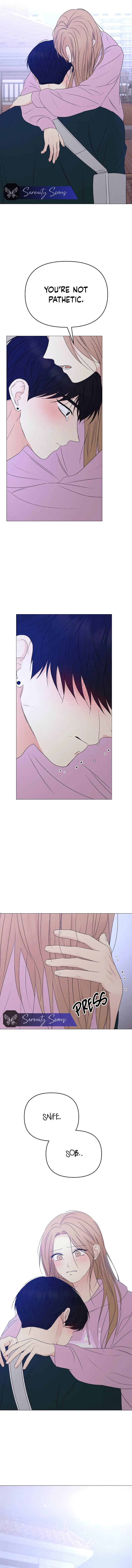 Read The Perfect Male Lead Manga Online