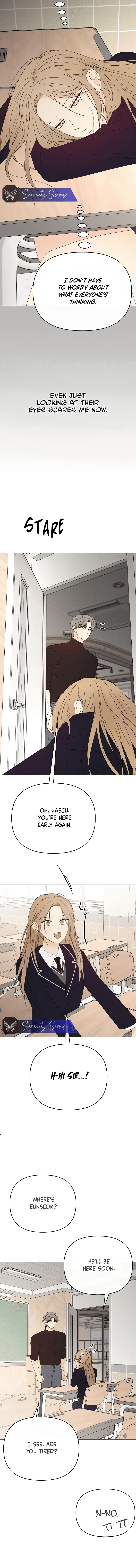 Read The Perfect Male Lead Manga Online