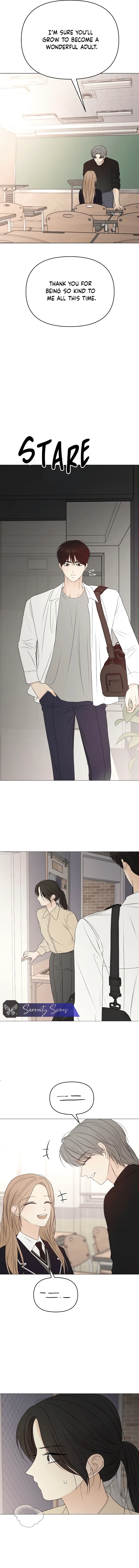 Read The Perfect Male Lead Manga Online