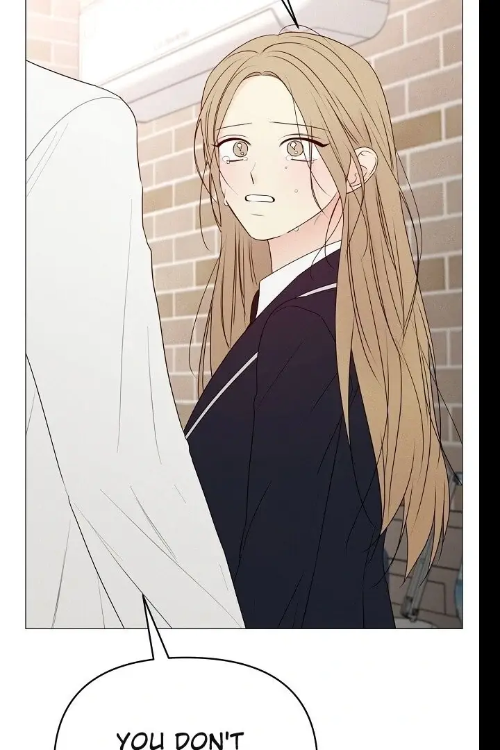 Read The Perfect Male Lead Manga Online