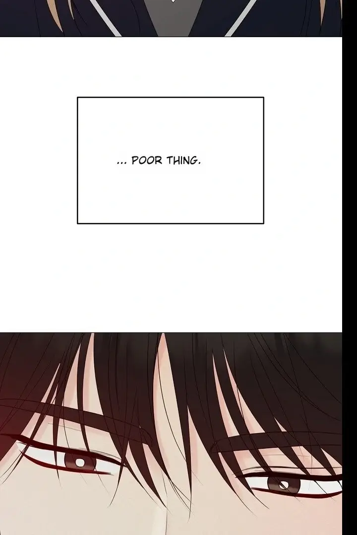 Read The Perfect Male Lead Manga Online