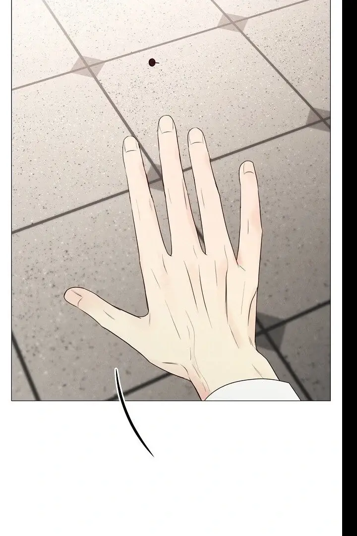 Read The Perfect Male Lead Manga Online