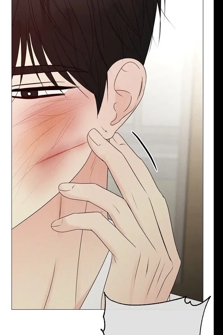 Read The Perfect Male Lead Manga Online