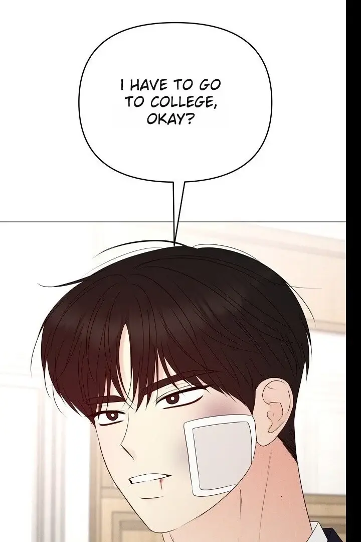 Read The Perfect Male Lead Manga Online