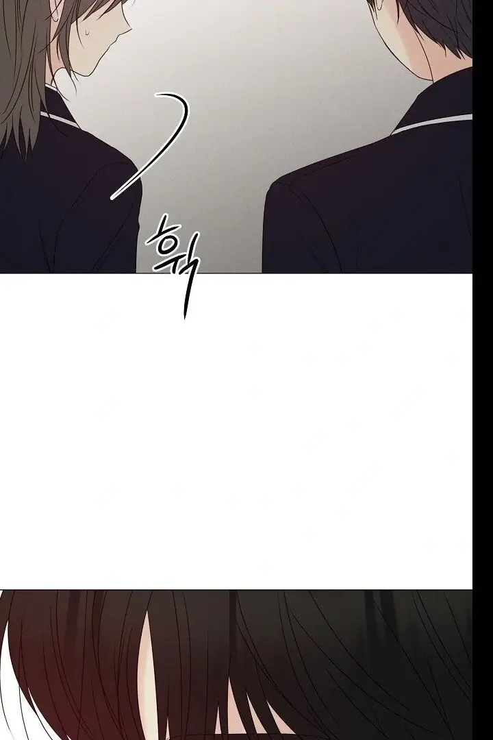 Read The Perfect Male Lead Manga Online