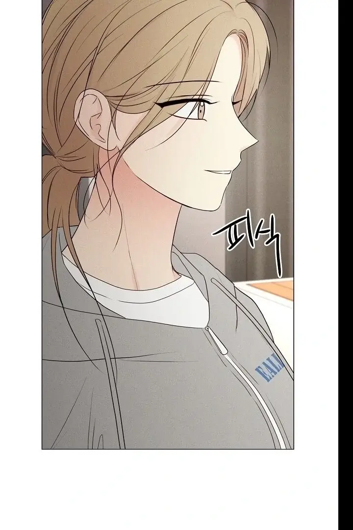 Read The Perfect Male Lead Manga Online