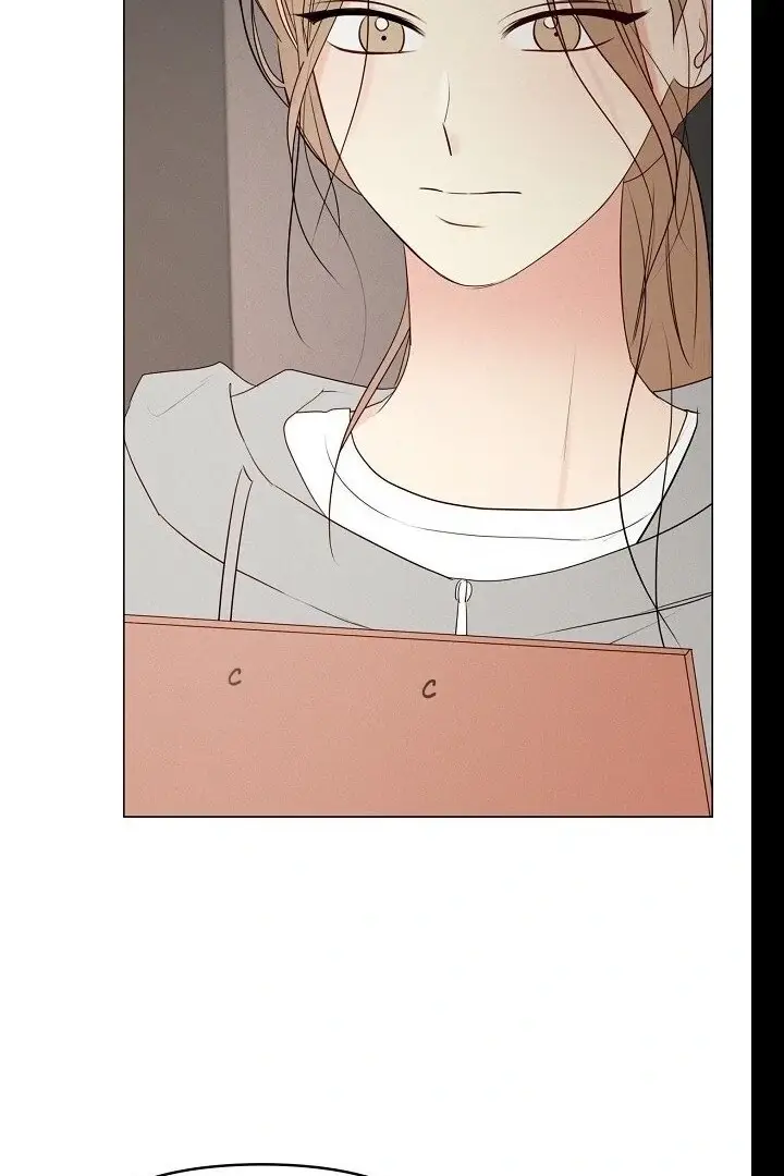 Read The Perfect Male Lead Manga Online