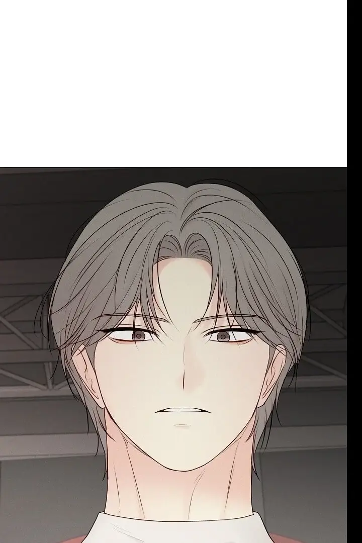 Read The Perfect Male Lead Manga Online