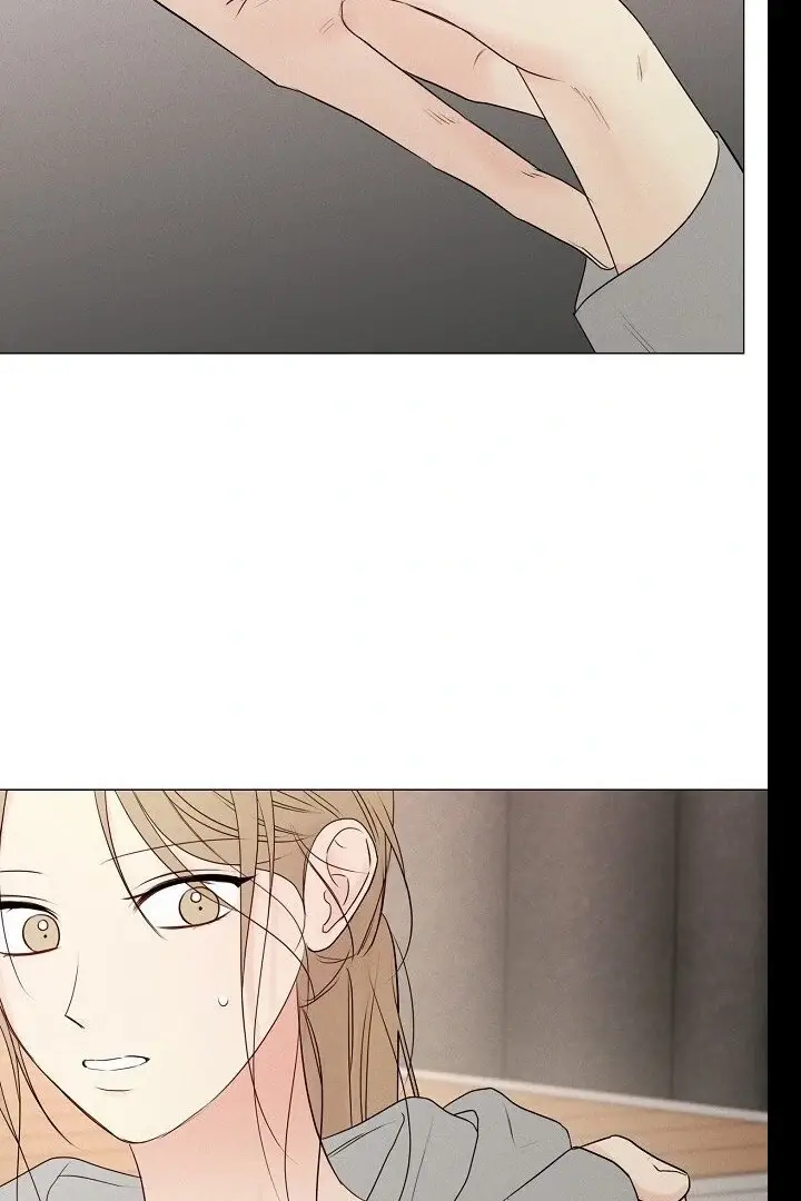 Read The Perfect Male Lead Manga Online