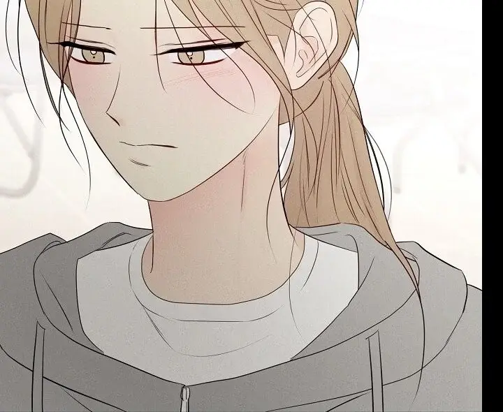 Read The Perfect Male Lead Manga Online