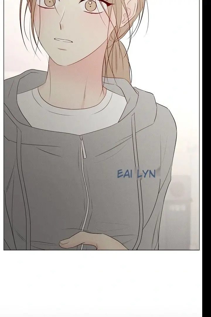 Read The Perfect Male Lead Manga Online