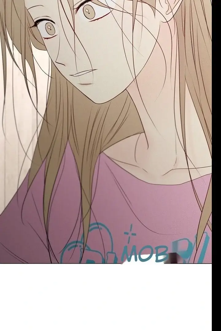 Read The Perfect Male Lead Manga Online