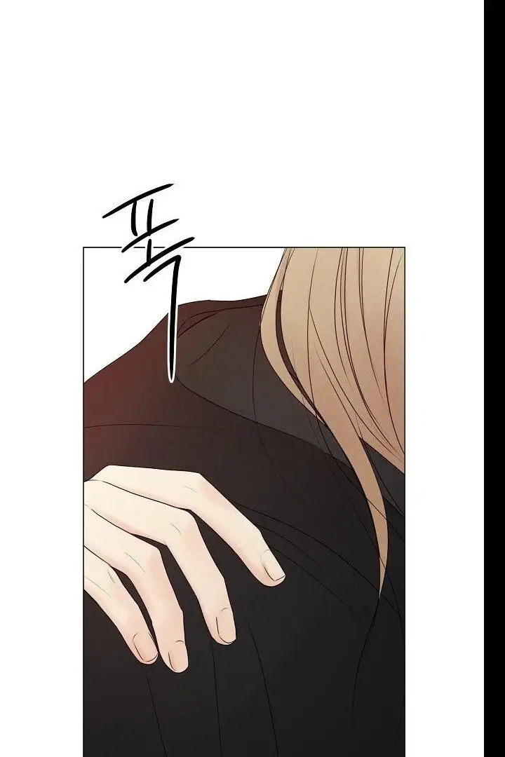 Read The Perfect Male Lead Manga Online