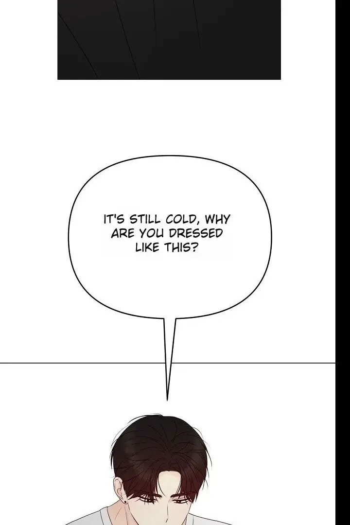 Read The Perfect Male Lead Manga Online