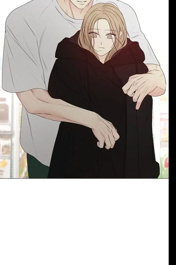 Read The Perfect Male Lead Manga Online