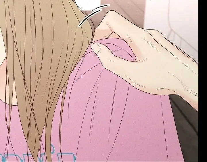 Read The Perfect Male Lead Manga Online