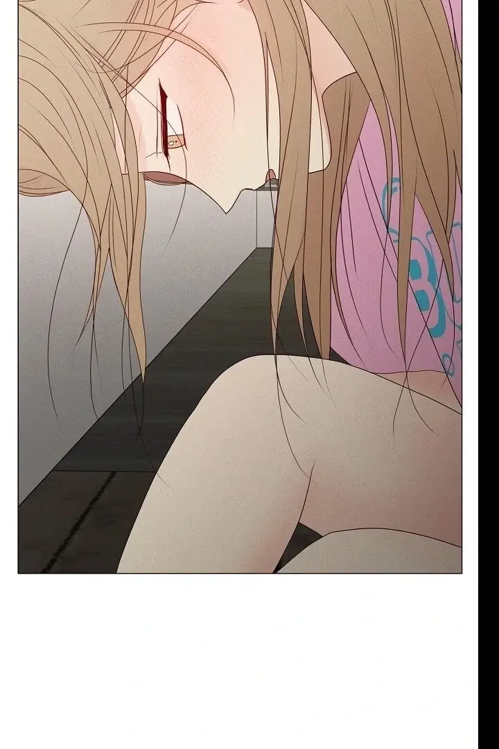 Read The Perfect Male Lead Manga Online