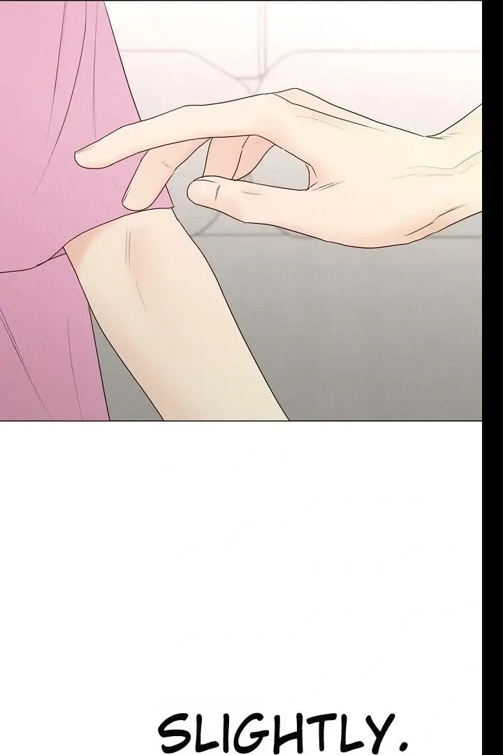 Read The Perfect Male Lead Manga Online