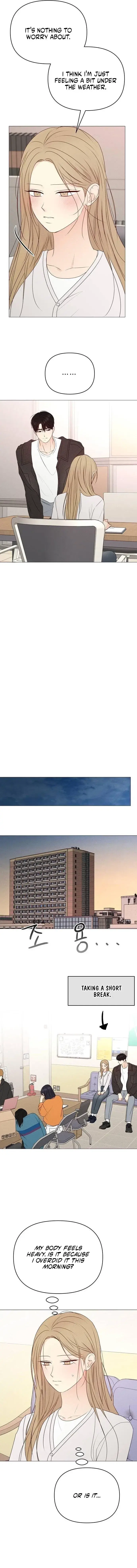 Read The Perfect Male Lead Manga Online