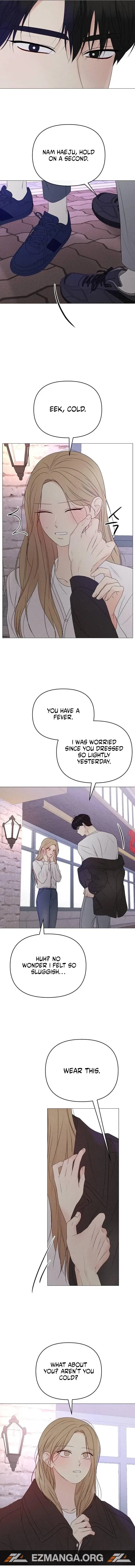 Read The Perfect Male Lead Manga Online