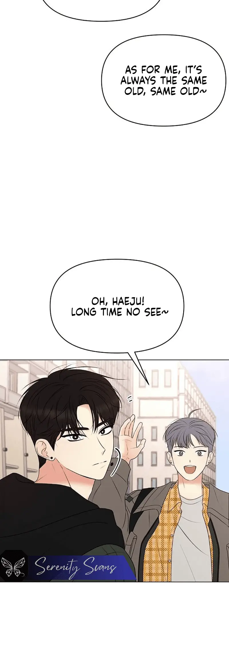 Read The Perfect Male Lead Manga Online