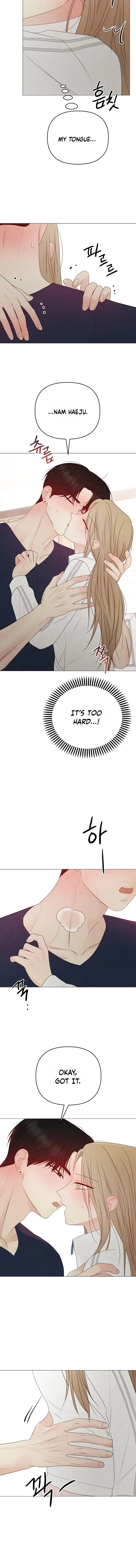 Read The Perfect Male Lead Manga Online