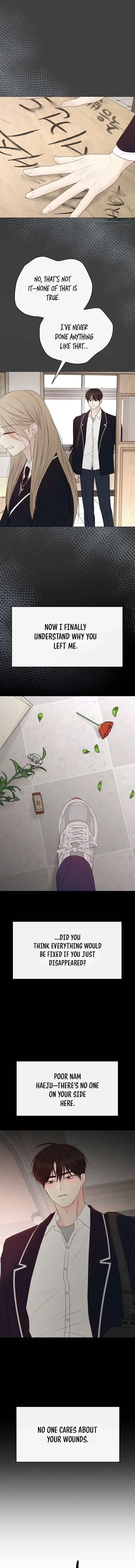 Read The Perfect Male Lead Manga Online