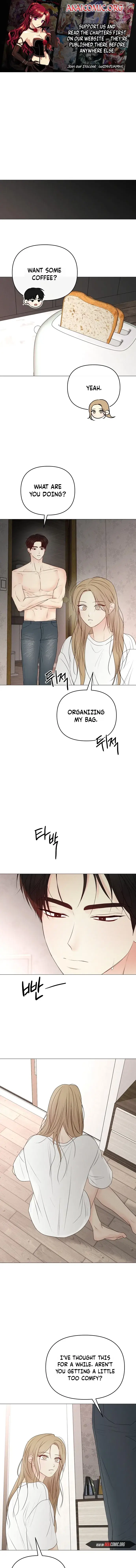 Read The Perfect Male Lead Manga Online