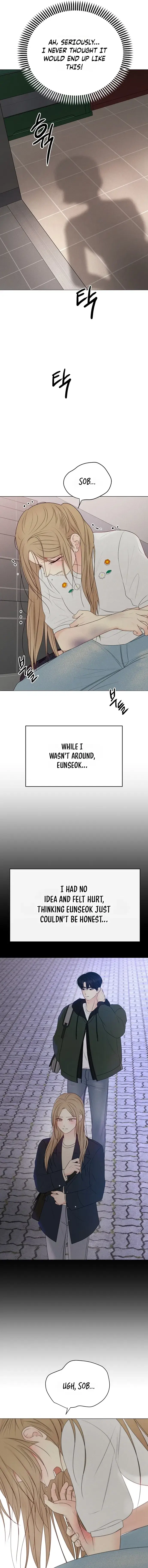 Read The Perfect Male Lead Manga Online