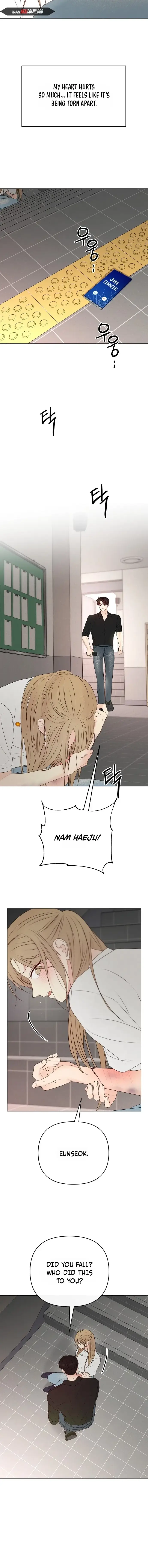 Read The Perfect Male Lead Manga Online