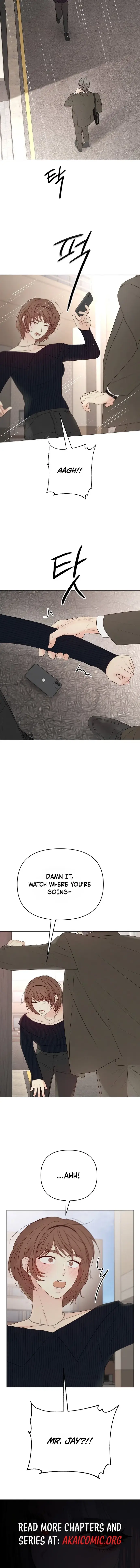 Read The Perfect Male Lead Manga Online