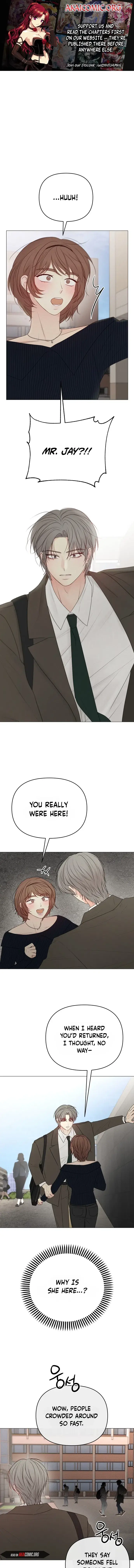 Read The Perfect Male Lead Manga Online