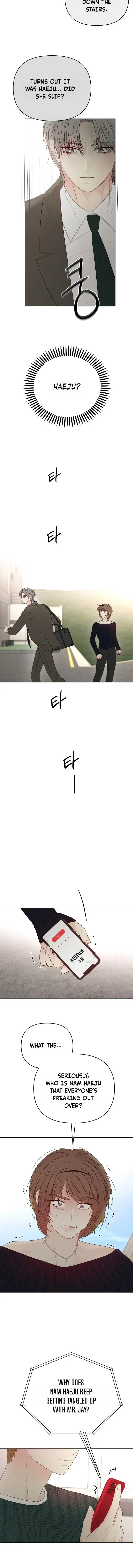 Read The Perfect Male Lead Manga Online