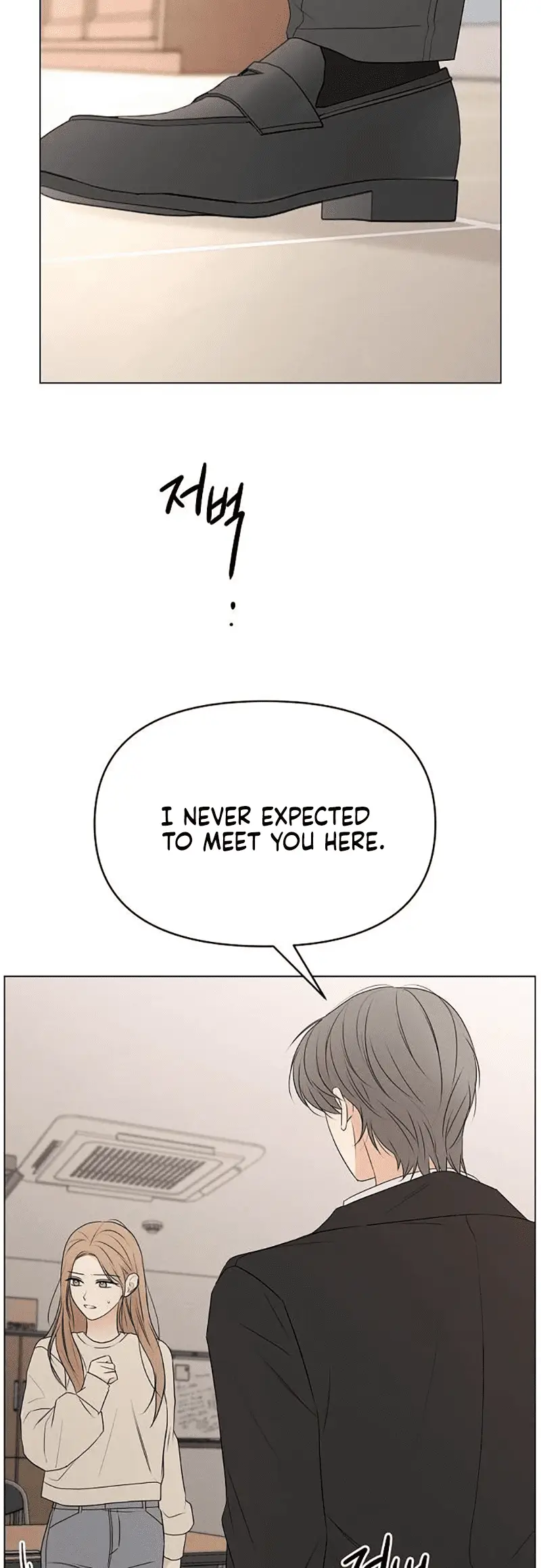 Read The Perfect Male Lead Manga Online