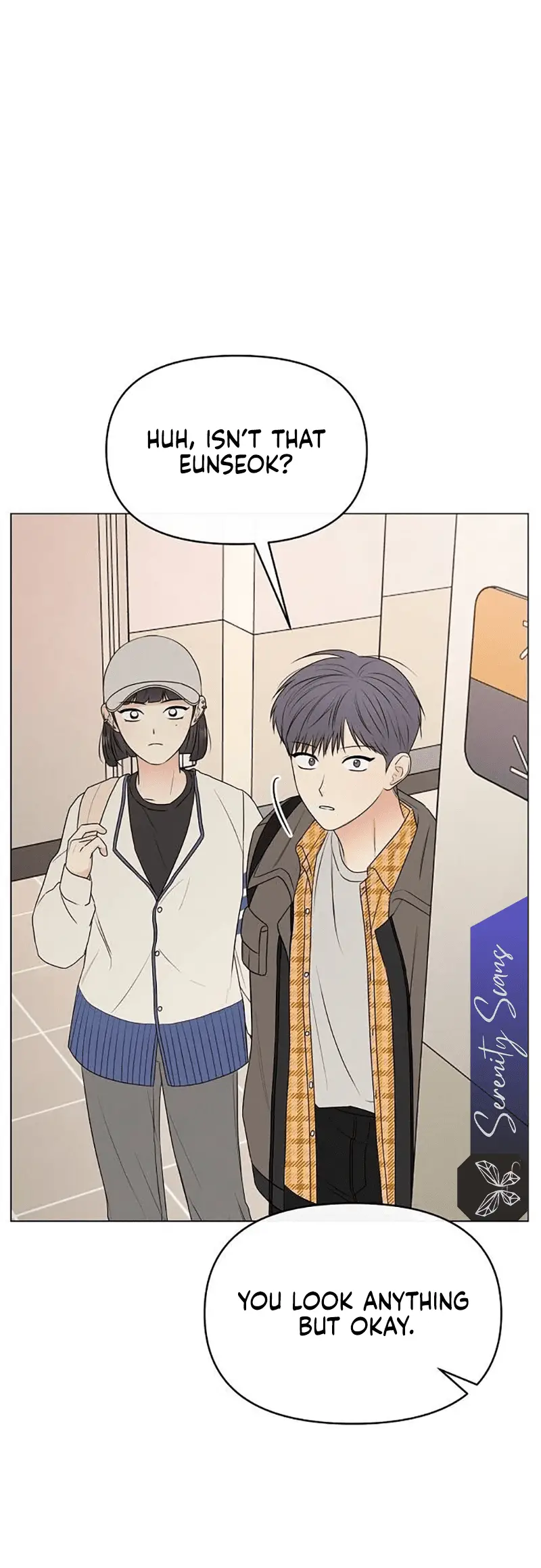 Read The Perfect Male Lead Manga Online