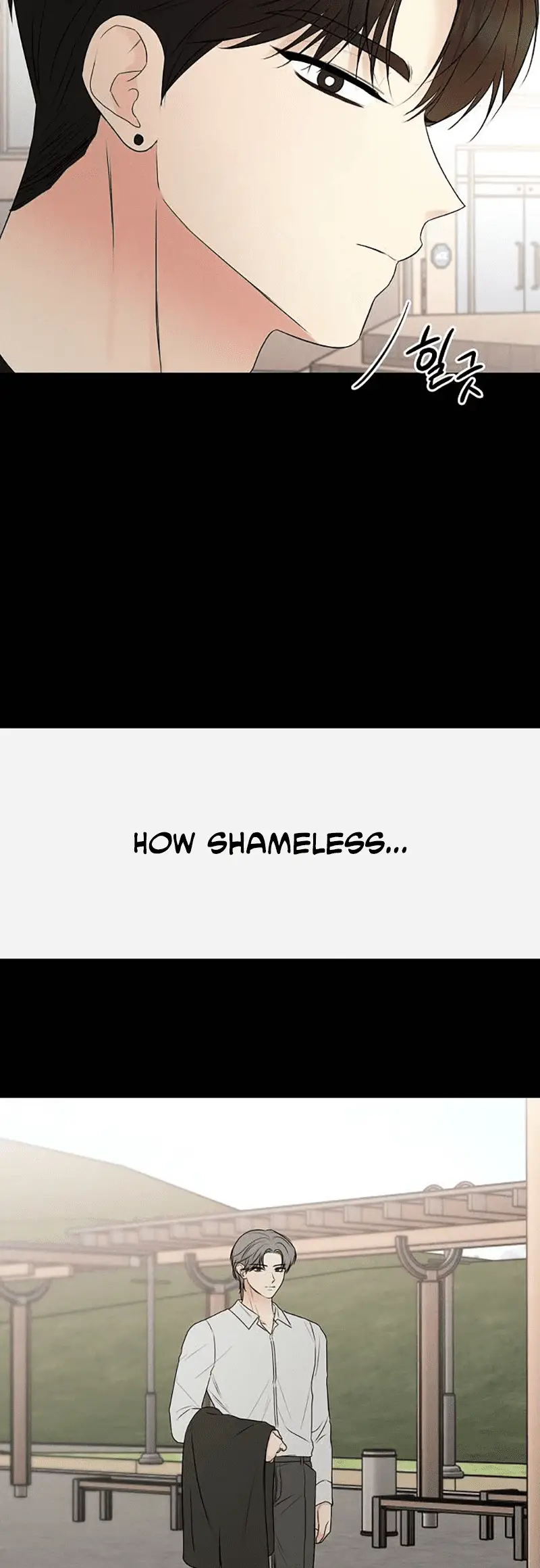 Read The Perfect Male Lead Manga Online