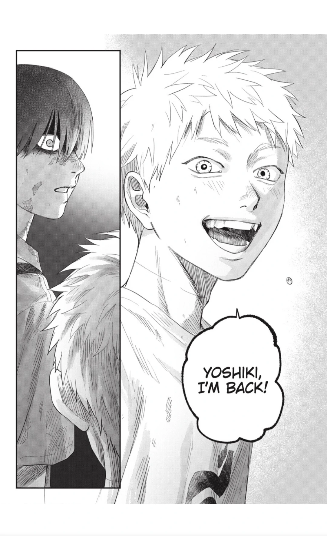 Read The Summer Hikaru Died Manga Online