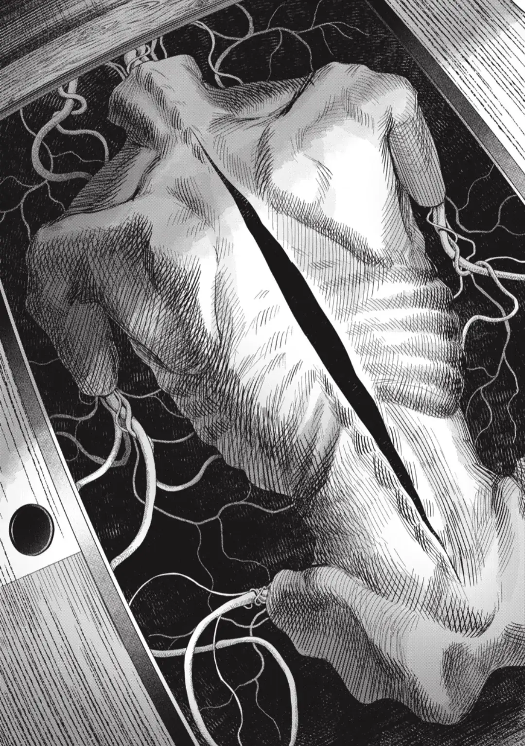 Read The Summer Hikaru Died Manga Online