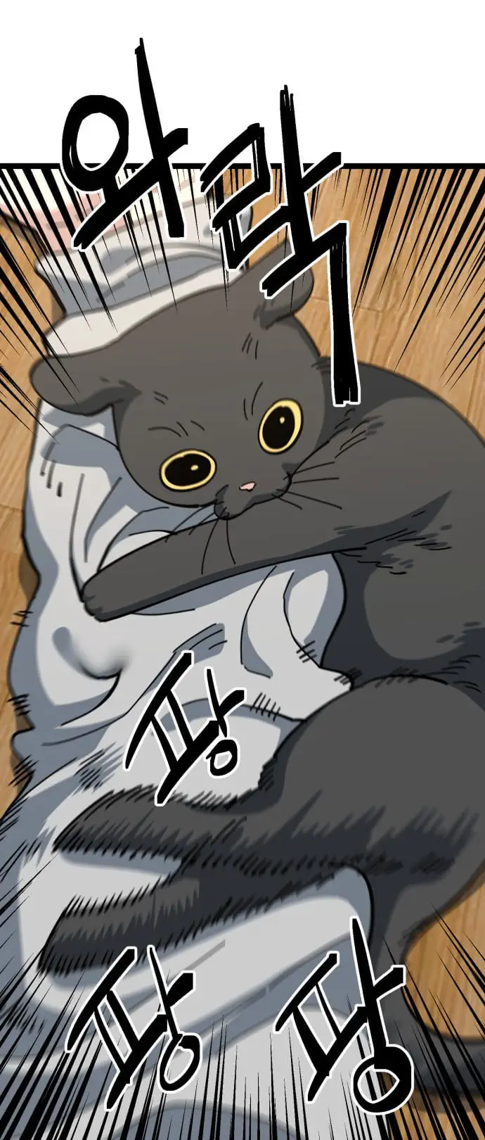 Read Unemployed Gye Baek soon Manga Online