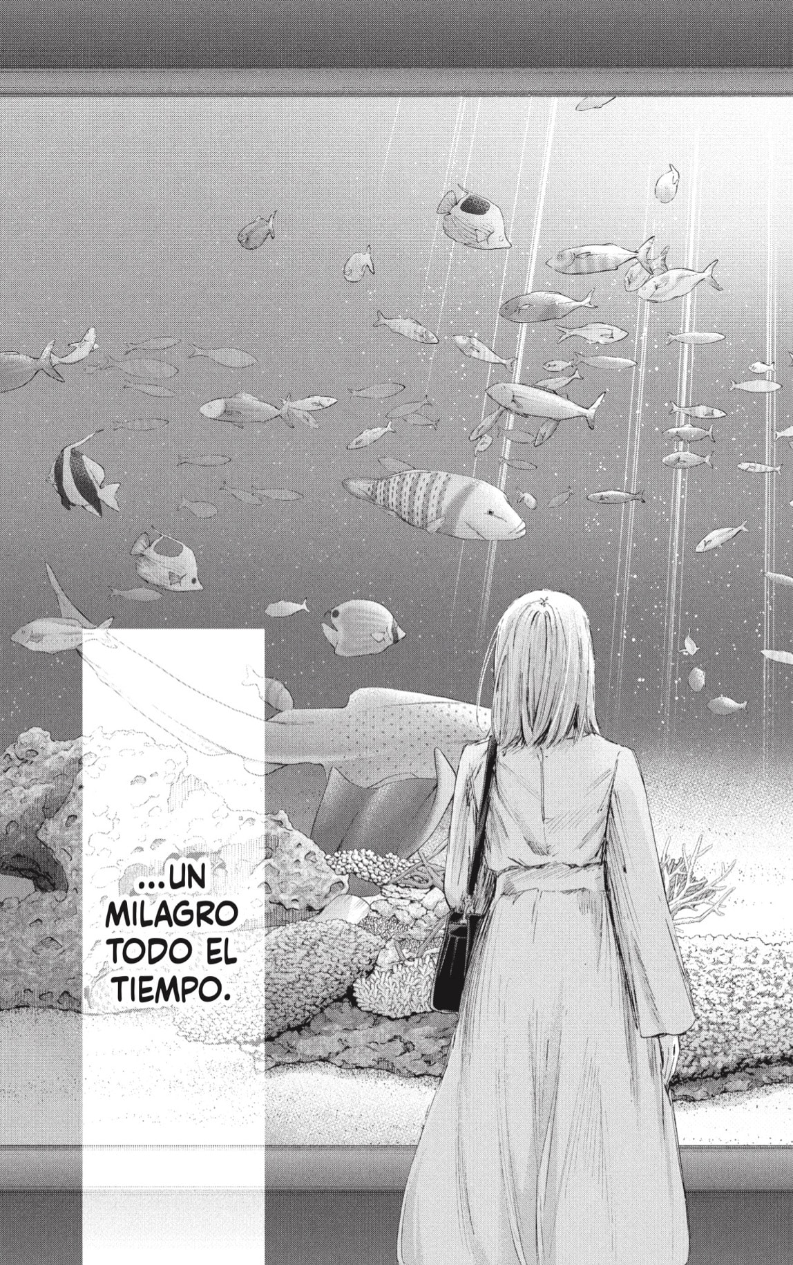 Read La caja azul Blue Box ES Manga Online