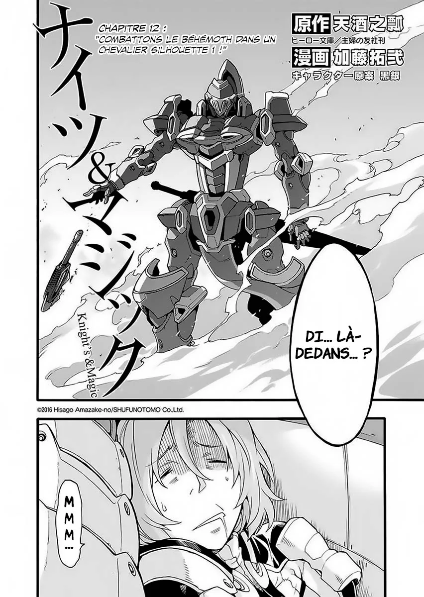 Read Knights and Magic FR Manga Online