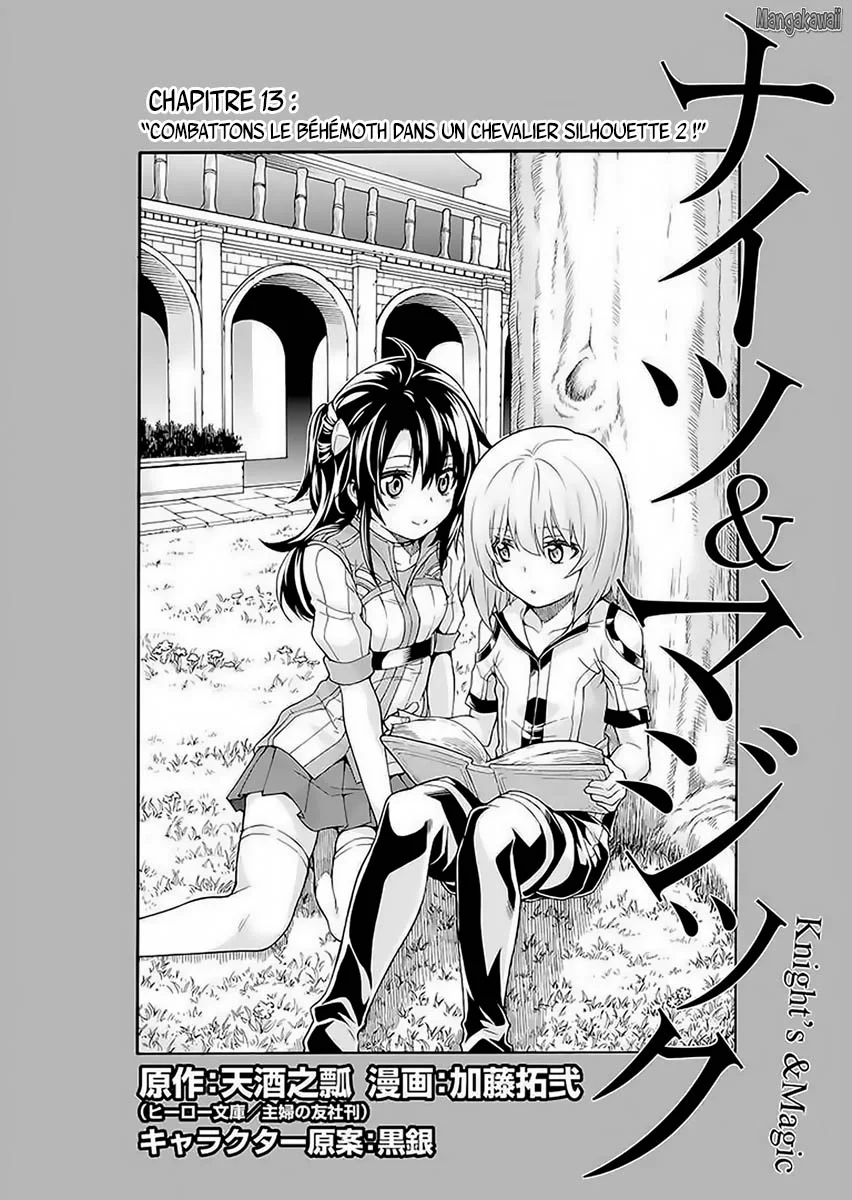 Read Knights and Magic FR Manga Online