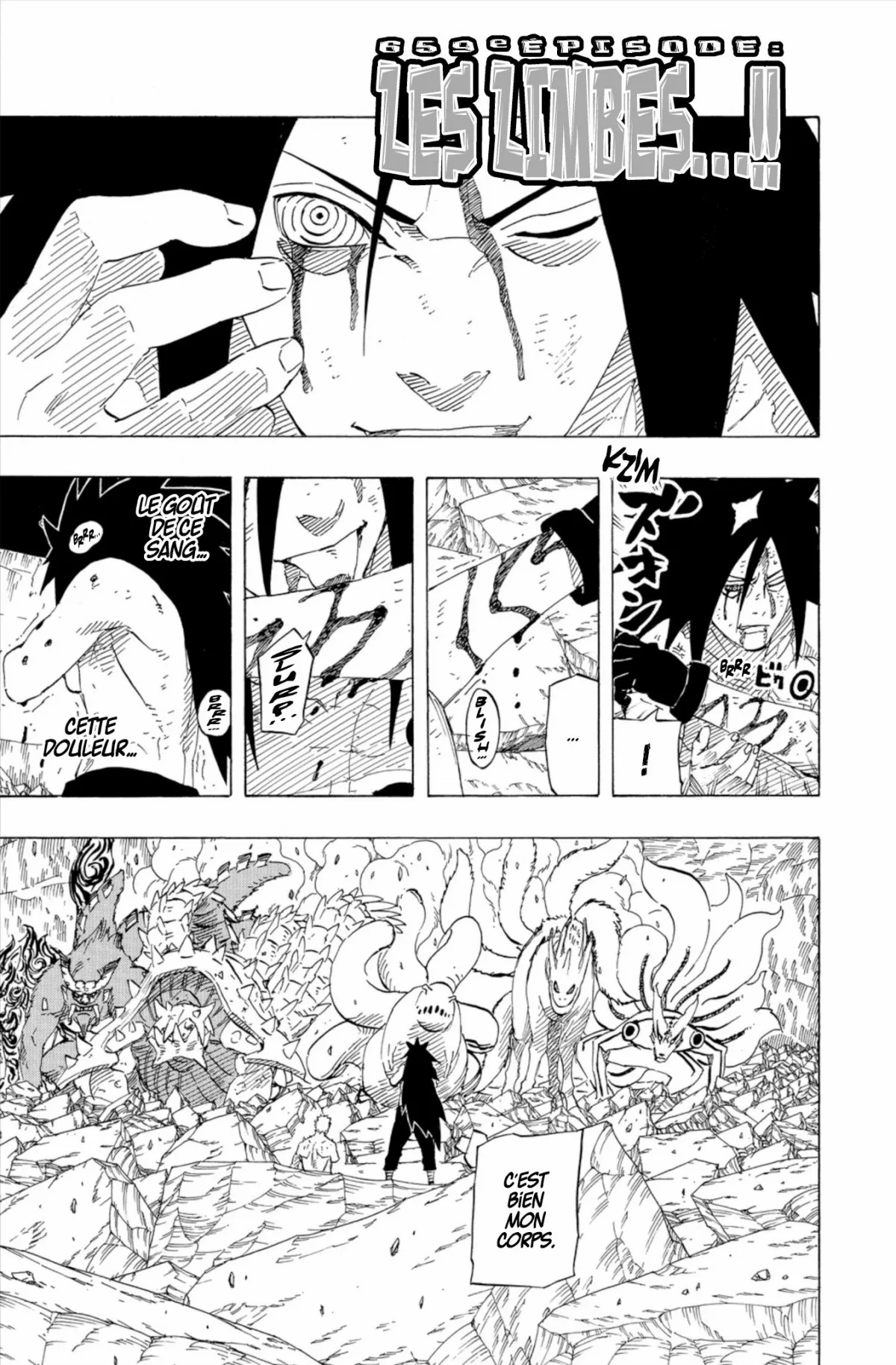 Read Naruto FR Manga Online