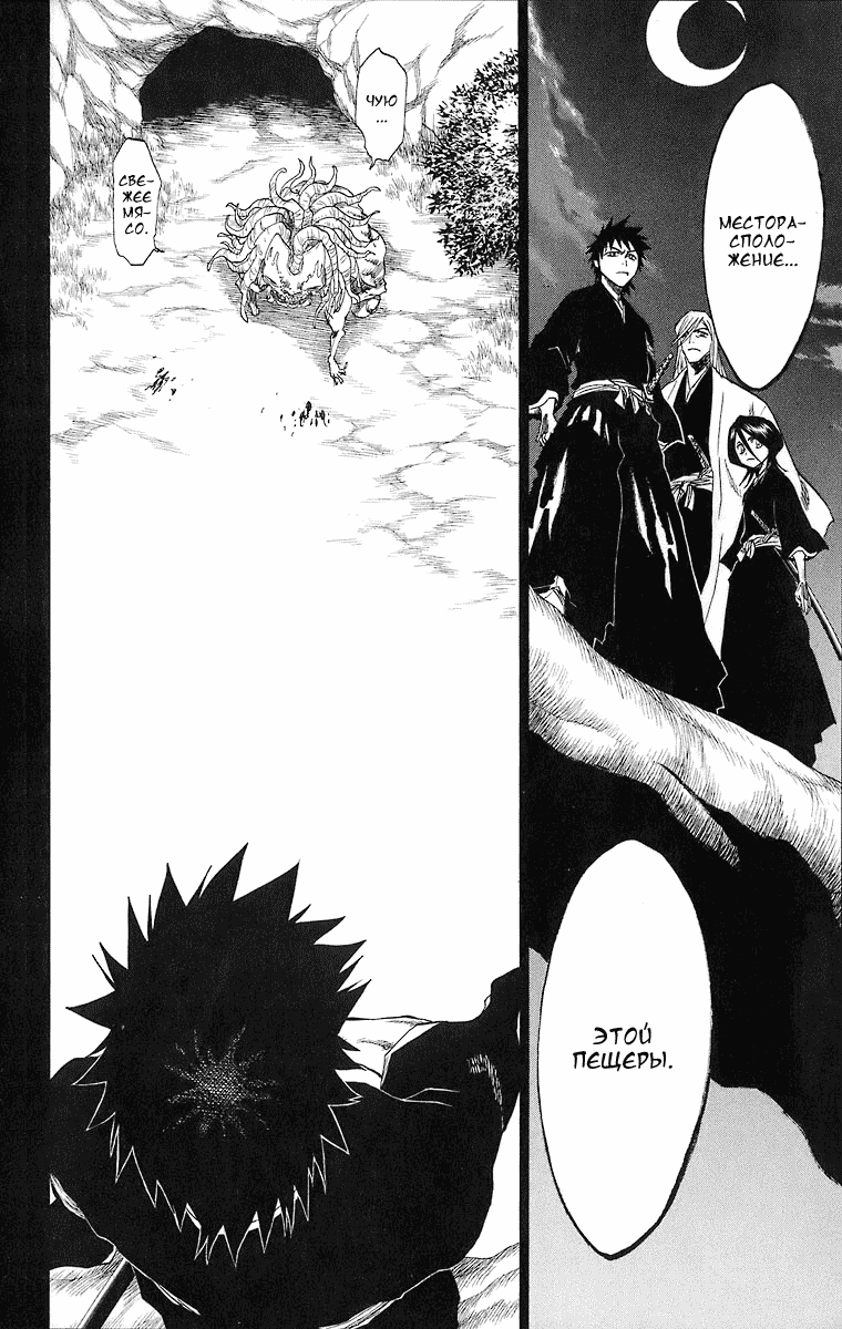 Read Bleach RU Manga Online