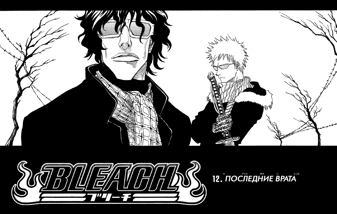 Read Bleach RU Manga Online