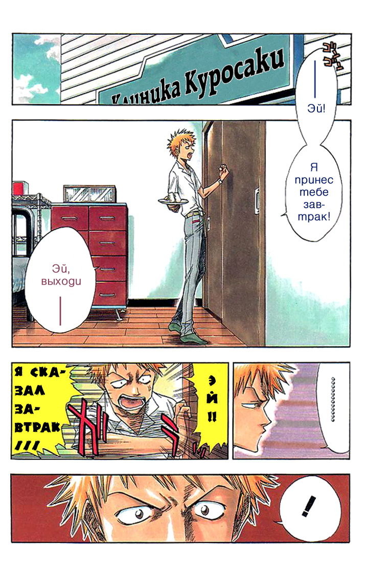 Read Bleach RU Manga Online