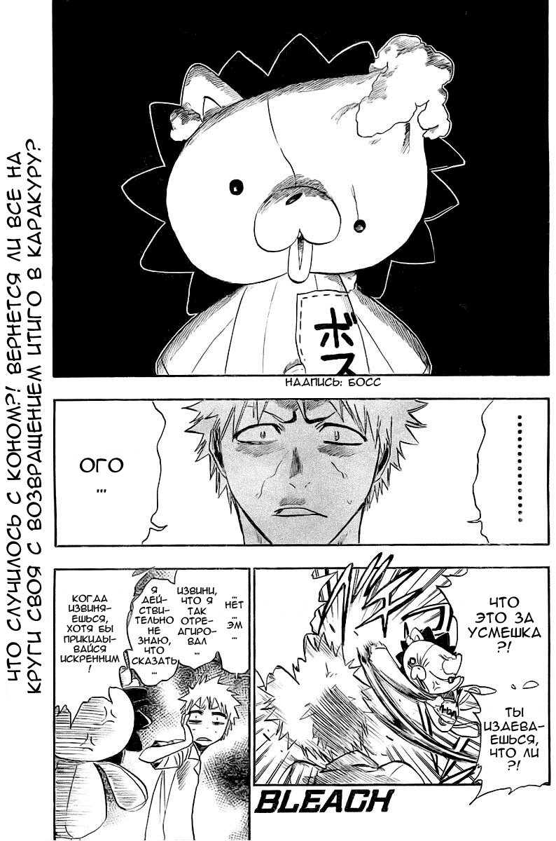 Read Bleach RU Manga Online
