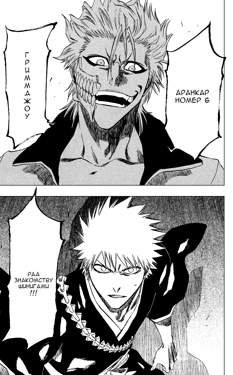 Read Bleach RU Manga Online