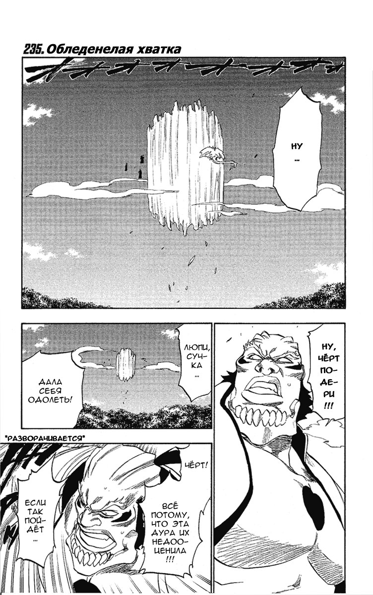 Read Bleach RU Manga Online