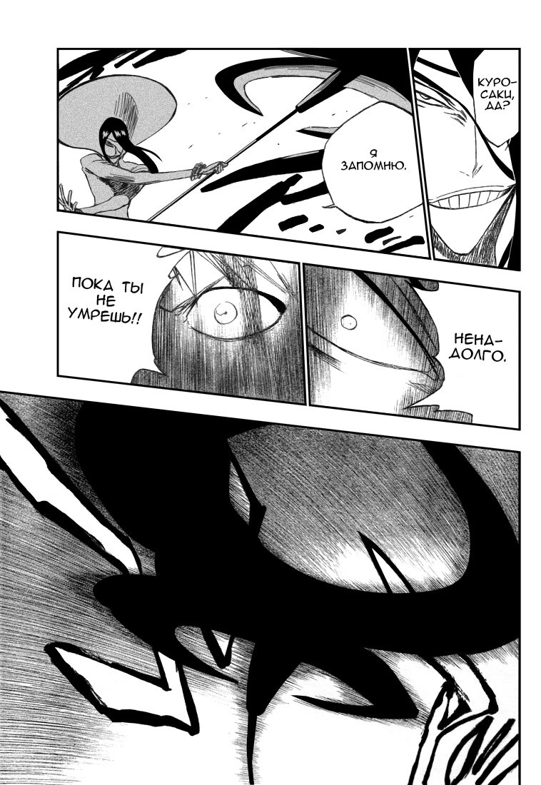 Read Bleach RU Manga Online